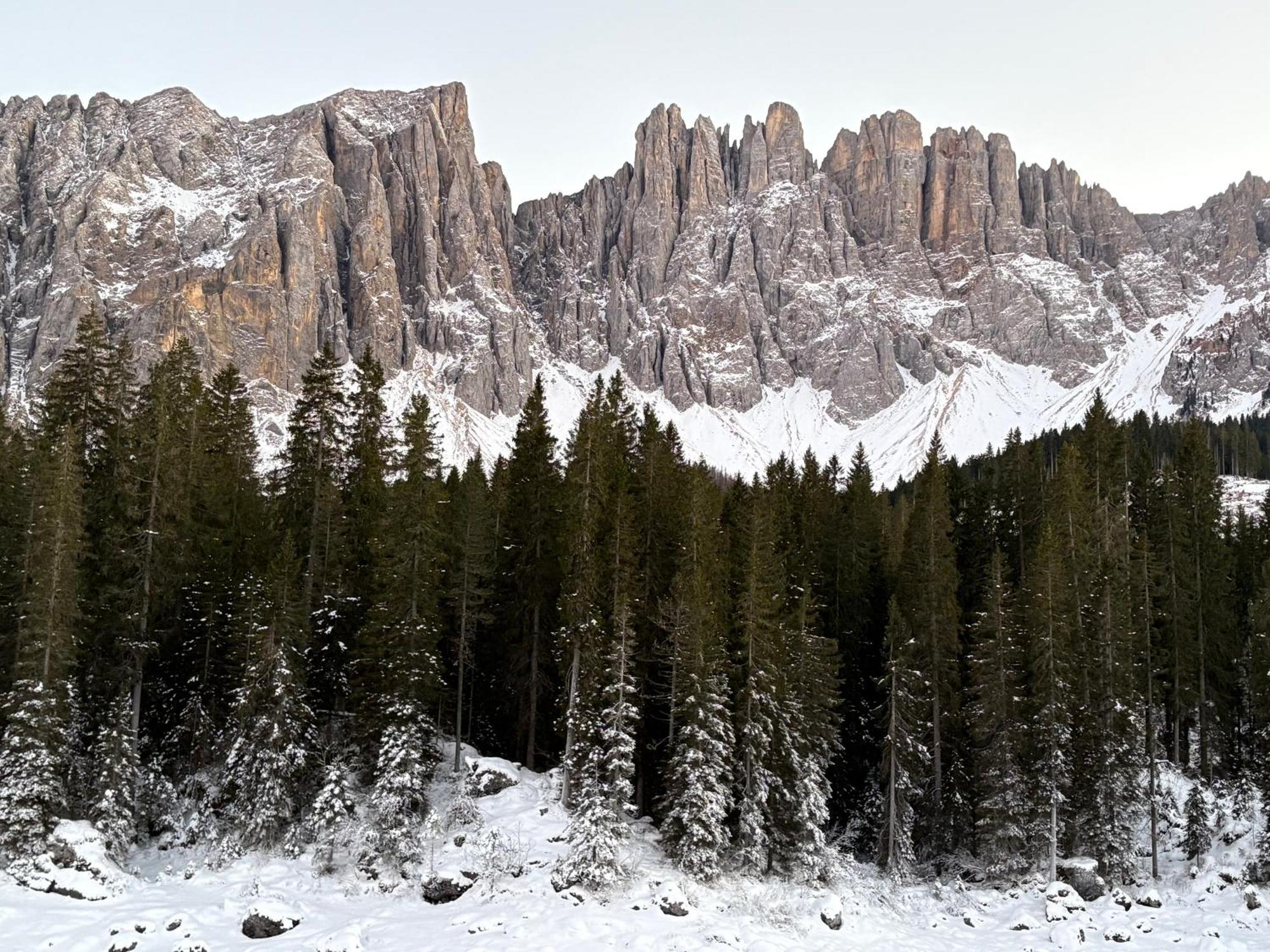 Chalet Tschattlhof Dolomites Cavalese Exterior photo